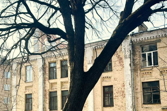 Екологія - a1694bfa-7a10-44e2-b50a-34a0607714fe - зображення